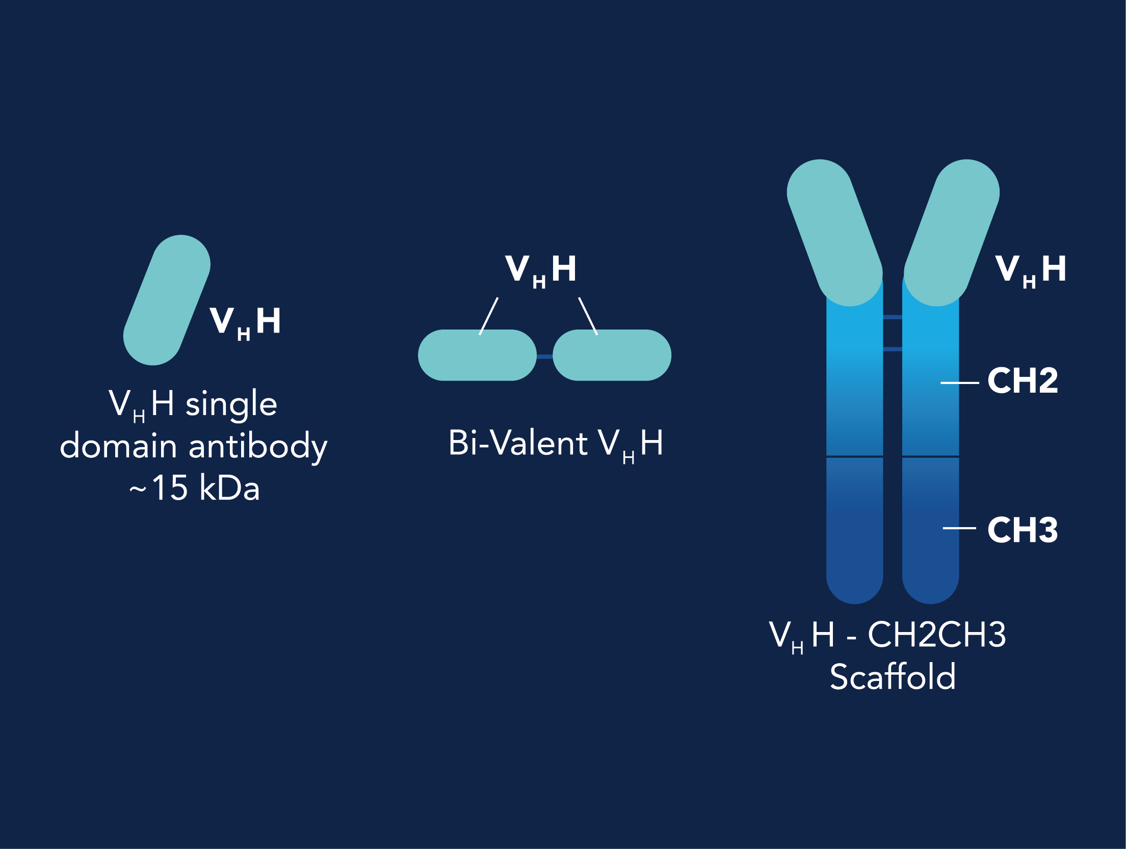VhH_antibodies.png