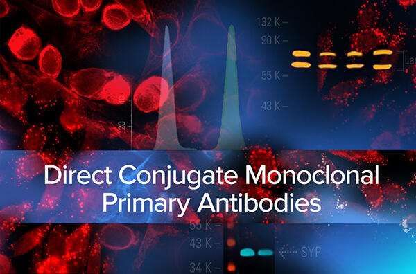 2_2020.1.29 Direct Conjugate Monoclonal Primary Antibodies.jpg