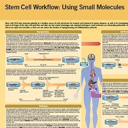 Stem_Cell_Workflow_Wallchart.jpg
