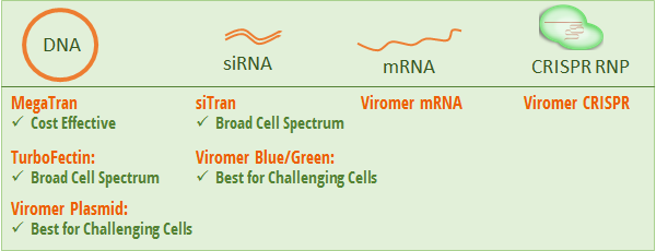 Transfection Reagent Selection Guide.png