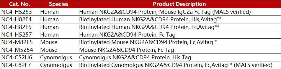 NKG2A,_a_promising_target_within_NK_cell-based_immunotherapy_4.jpg