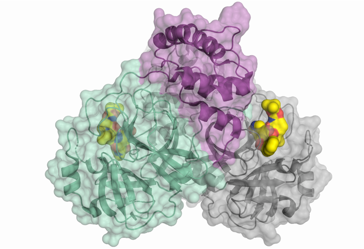 SARS-CoV-2_Research_Tools_Antigens,_Antibodies,_Detection_Kits_7.png
