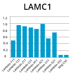 laminin-elisa-graph2.jpg