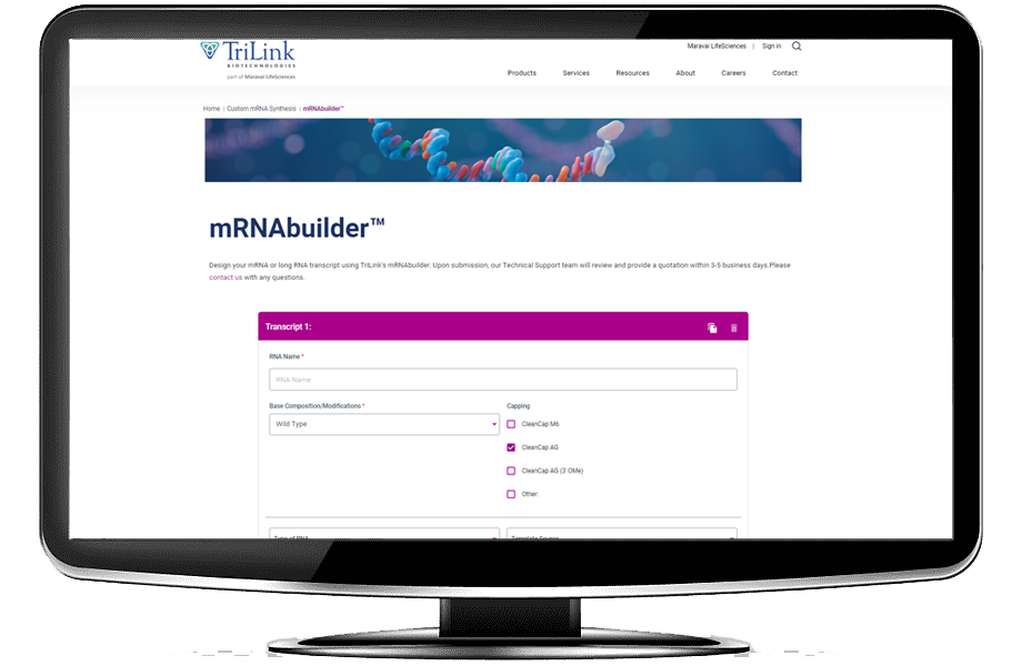mRNAbuilder2.png