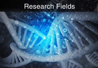 Research Fields