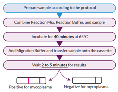 MycoStrip_procedure.png