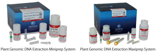Plant_Genomic_DNA-seihingazou.jpg