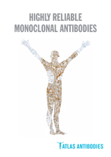 highy-reliable-monoclonal-antibodies.jpg