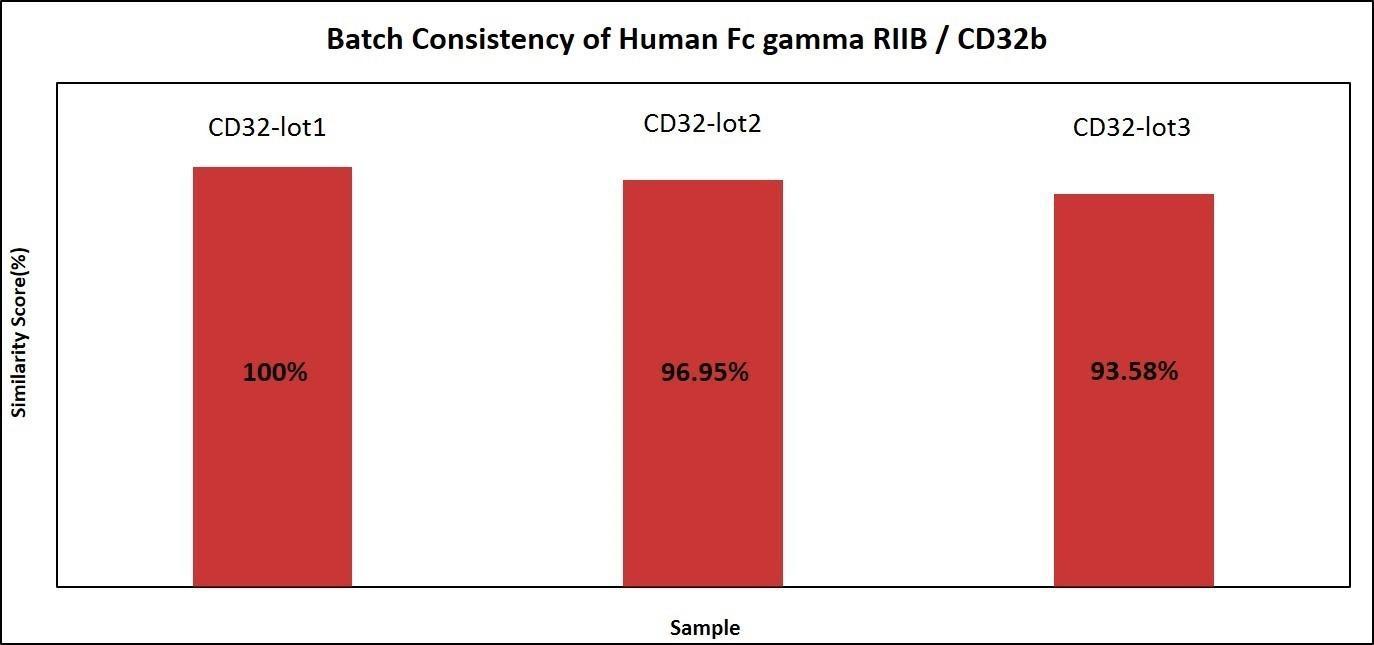 Batch_consistency_of_Human_Fc_gamma_RIIB_CD32b_(Cat_No_CDB-H5228).jpg