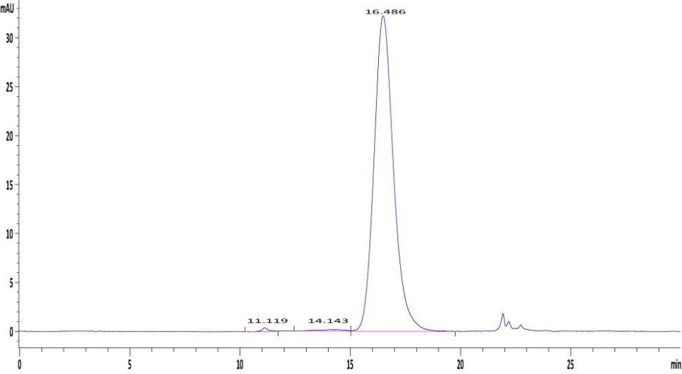 The_purity_of_Human_Fc_gamma_RIIA_CD32a_(R167)_Protein_(Cat_No_CDA-H5221).jpg