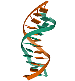 Deoxynucleotides_for_PCR_dNTP_solution_mix_Cat_7272.png