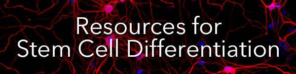 Resources_for_Stem_Cell_Differentiation_barner.png