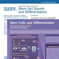 Stem_Cell_Differentiation_Literature.png
