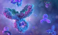 Antibody&Protein.jpg