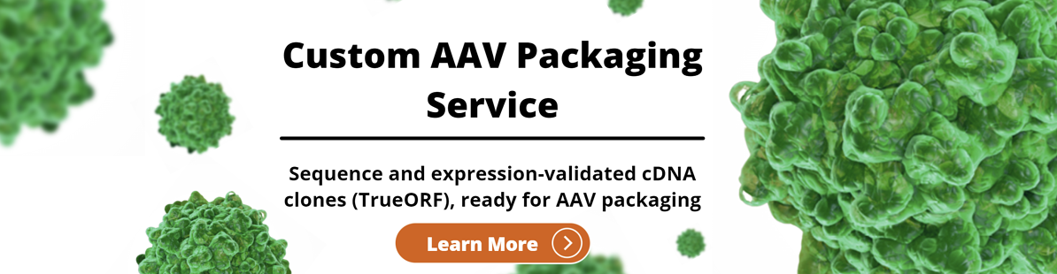 Custome_AAV_service.png