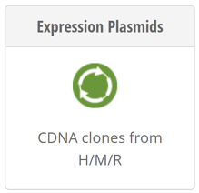 Plasmids.png