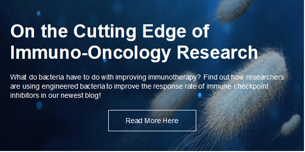 Immuno-Oncology.png