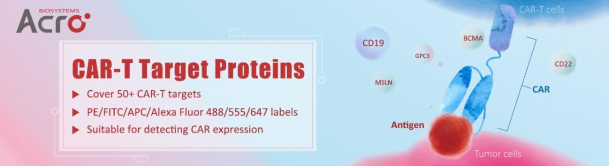 CAR-T_Target_Proteins.jpg
