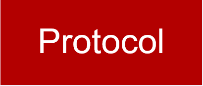 Protocol.PNG