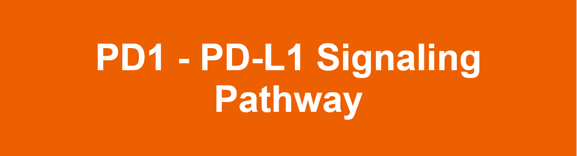 Signaling_Pathway.PNG