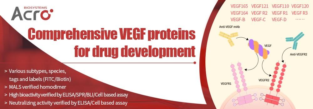 VEGF_Proteins.jpg