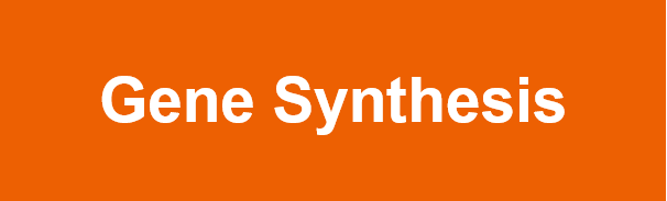 Gene_Synthesis.PNG