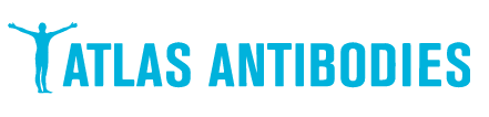 Atlas_logo.PNG