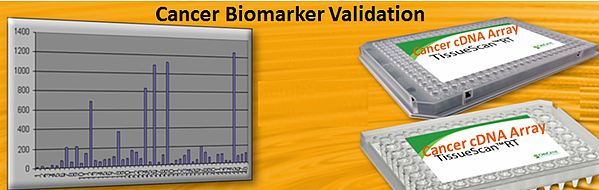 Cancer Biomarker Validation.png