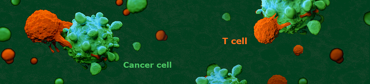 Cancer_cell_vs_Tcell.png