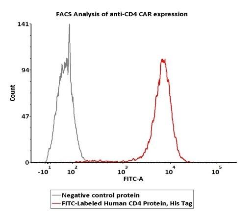 FACS_Analysis_of_anti-CD4_CAR_expression_CD4-HF2H7.jpg