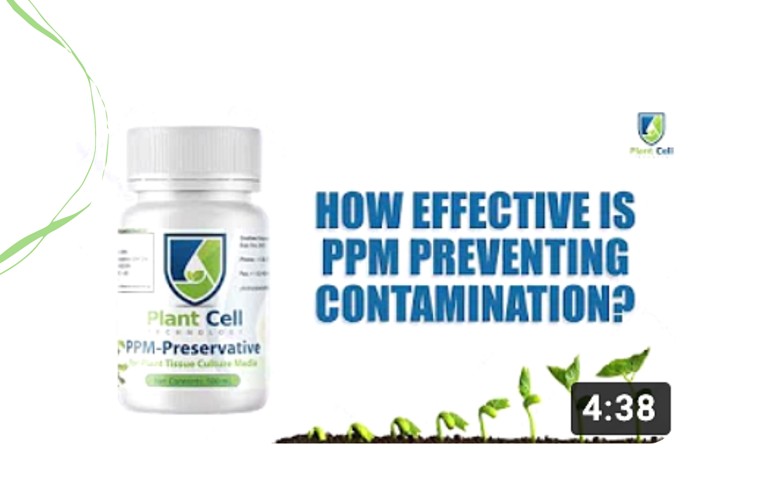 How_effective_is_PPM_Preventing_contamination.png