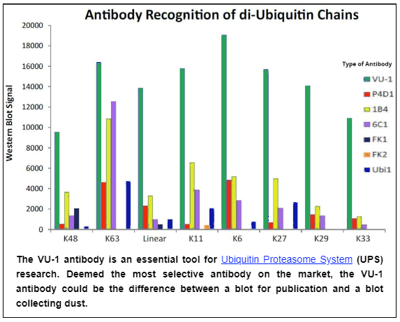 LifeSensors_Antibody_Recognition_of_Di-Ubiquitin_Chains.png