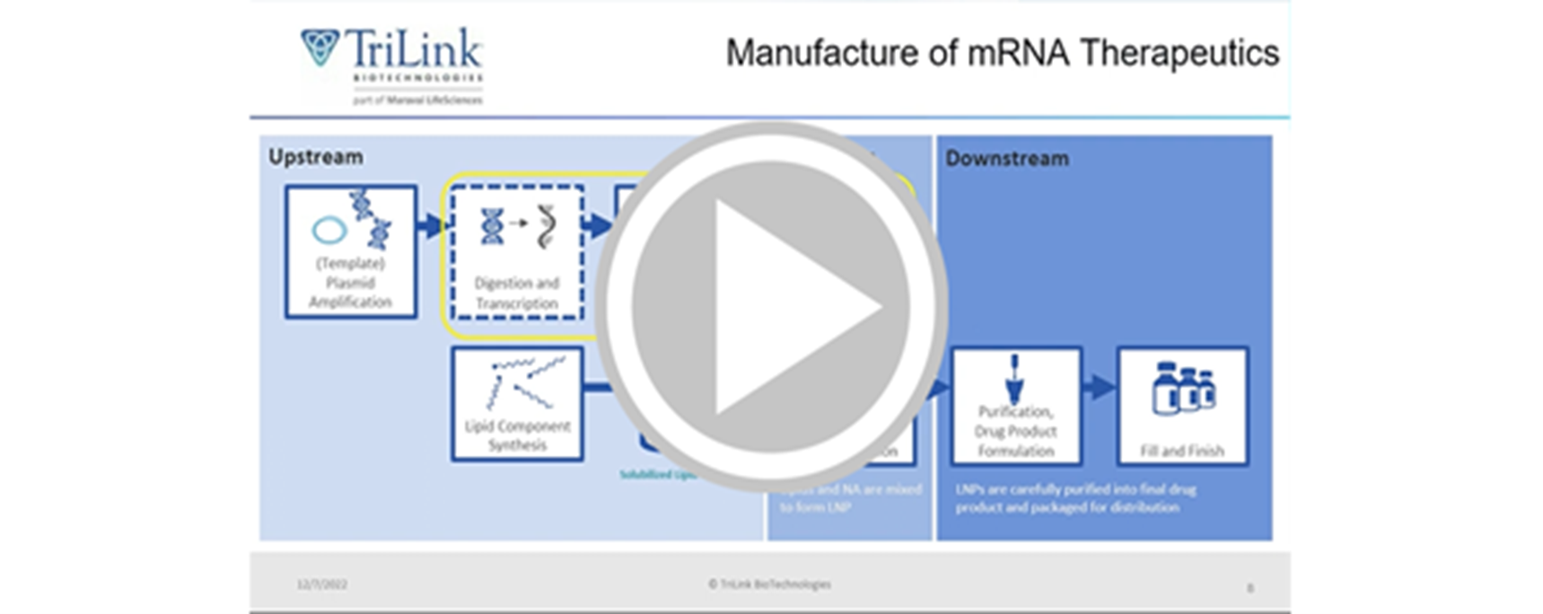 Manufacture_of_mRNA_Therapeutics.png
