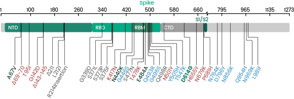Mutations_in_the_Spike_Glycoprotein_of_Omicron.png