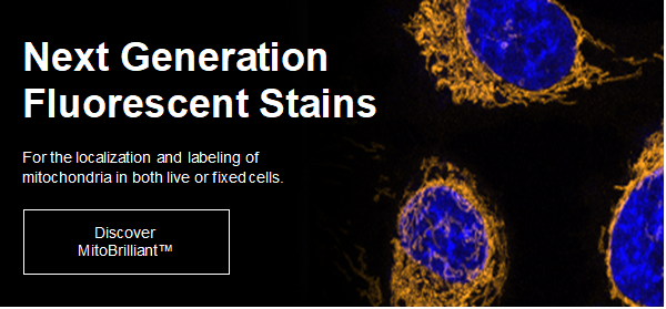 Next Generation Fluorescent Stains.png