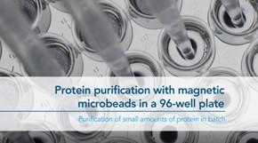 Protein Purification right.jpg