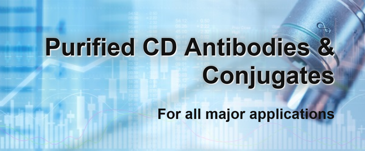 Purified_CD_Antibodies_Conjugates.PNG