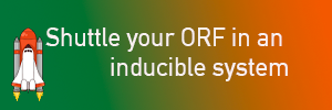 Shuffle_your_ORF_in_an_inducible_system.png