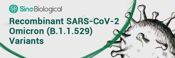 Recombinant_SARS-CoV-2_Omicron (B.1.1.529) Variants.jpg