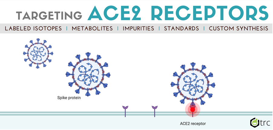 ACE_2_Receptor_Targets_I_Covid_19_Research_Tools_1.PNG