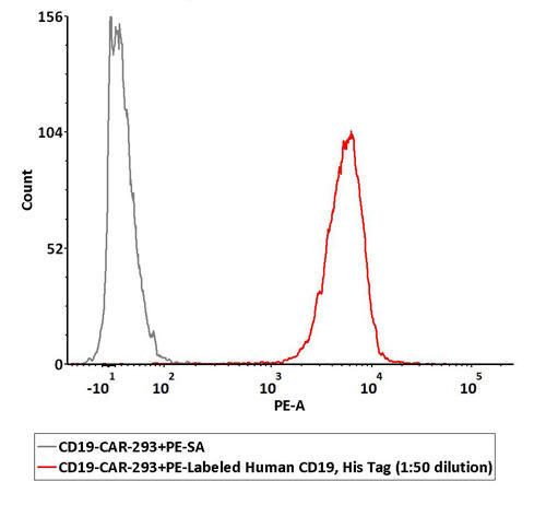 CD19_a_validated_therapeutic_target_for_B-cell_malignancies_3.jpg