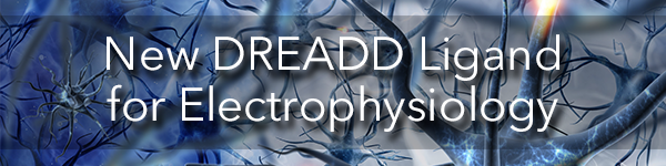 DCZ-New_DREADD_Ligand_for_In_Vivo_Electrophysiology_2.png