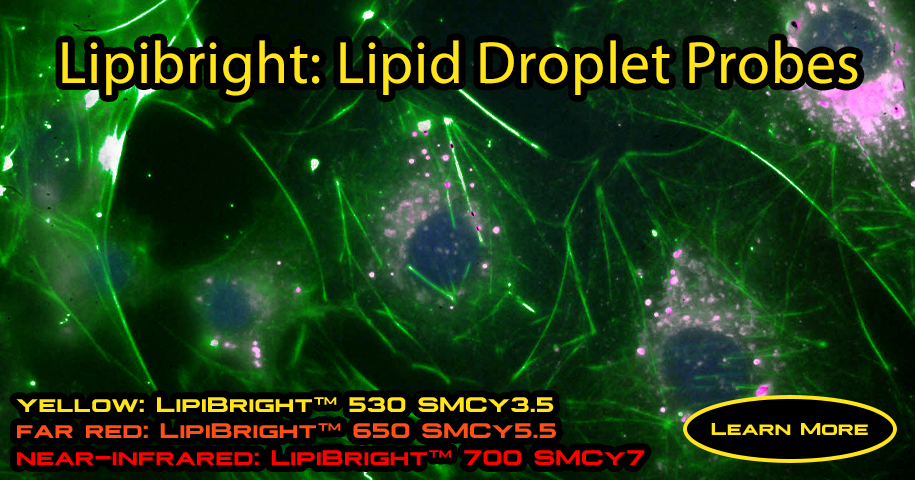 Lipid_Droplet_Probes_2.png