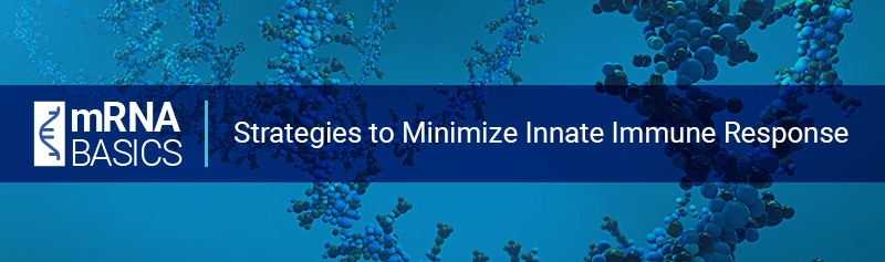Strategies_to_Minimize_Innate_Immune_Response_2.png