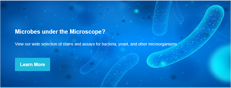 Studying_bacteria,_yeast,_or_other_microbes_We've_got_a_stain_or_assay_for_that!_2.png
