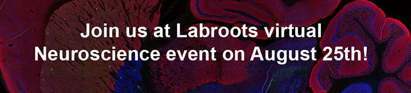 labroots-neuroscience-event-image.jpg