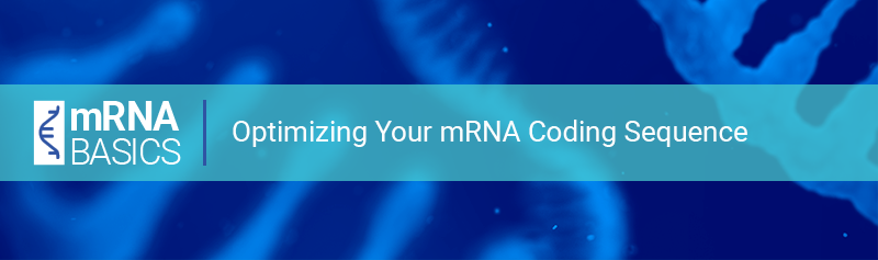 mRNA_Basics_Webinar_Optimizing_Your_mRNA_Coding_Sequence.png
