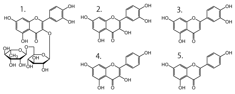 C-TN-22-hyoujyunnhinn-sample.png