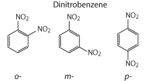 TN28-PFP-p2-dinitrobenzene.png