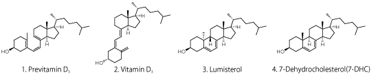 UHPLC-p2_VitaminD-sample_yoko.png